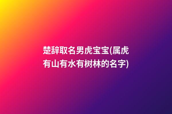 楚辞取名男虎宝宝(属虎有山有水有树林的名字)