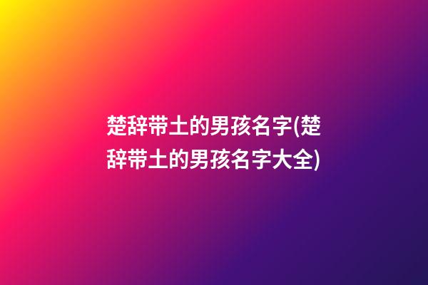 楚辞带土的男孩名字(楚辞带土的男孩名字大全)