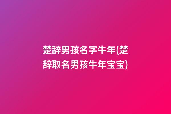 楚辞男孩名字牛年(楚辞取名男孩牛年宝宝)
