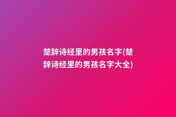 楚辞诗经里的男孩名字(楚辞诗经里的男孩名字大全)
