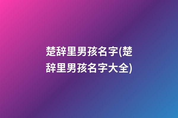 楚辞里男孩名字(楚辞里男孩名字大全)