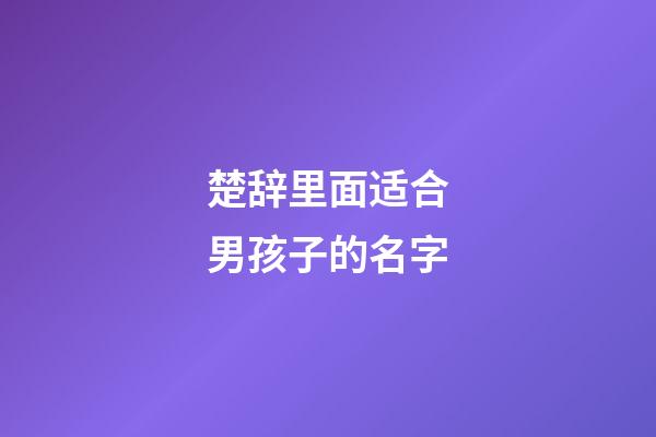 楚辞里面适合男孩子的名字
