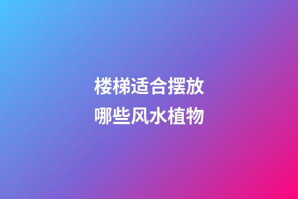 楼梯适合摆放哪些风水植物