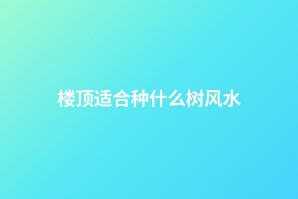 楼顶适合种什么树风水