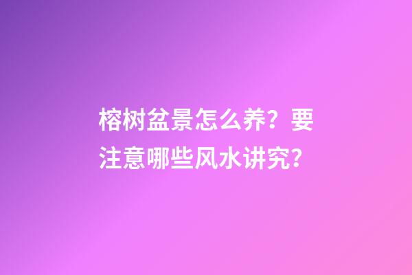榕树盆景怎么养？要注意哪些风水讲究？