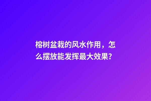榕树盆栽的风水作用，怎么摆放能发挥最大效果？