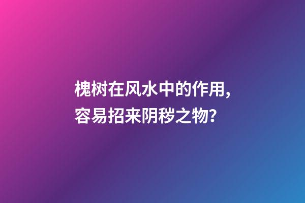 槐树在风水中的作用,容易招来阴秽之物？
