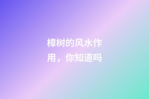 樟树的风水作用，你知道吗