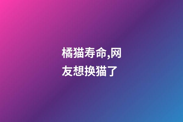 橘猫寿命,网友想换猫了-第1张-观点-玄机派