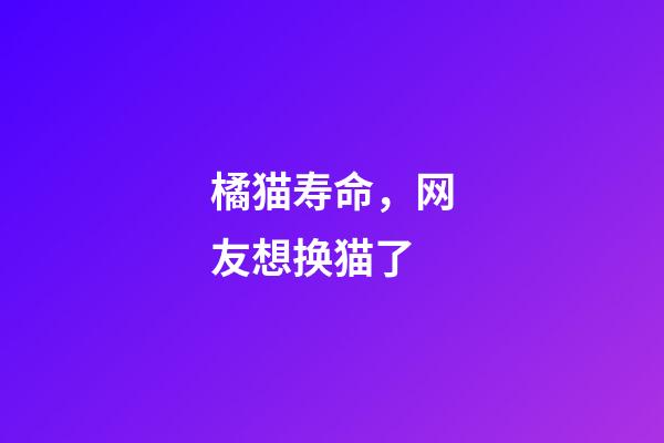 橘猫寿命，网友想换猫了-第1张-观点-玄机派