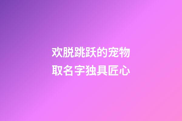 欢脱跳跃的宠物取名字独具匠心