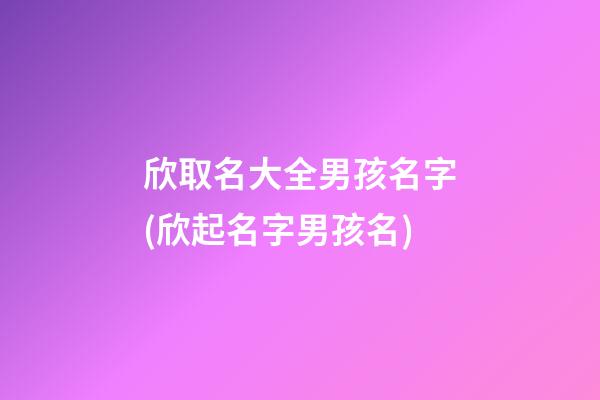 欣取名大全男孩名字(欣起名字男孩名)
