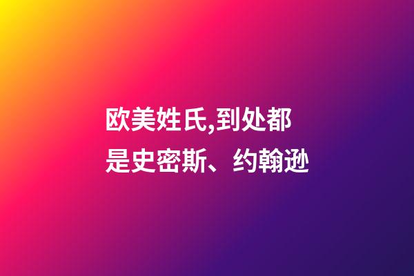 欧美姓氏,到处都是史密斯、约翰逊-第1张-观点-玄机派