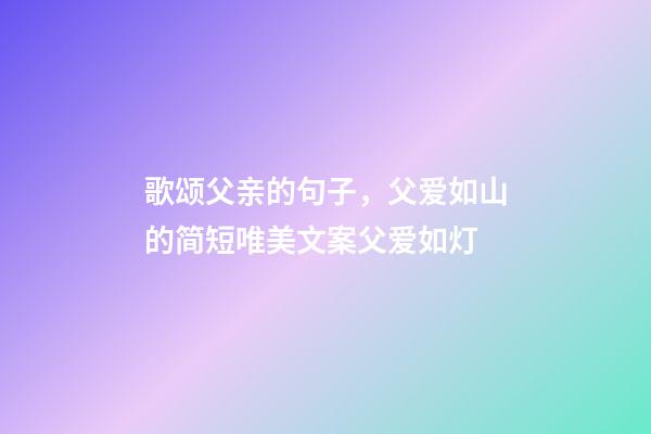 歌颂父亲的句子，父爱如山的简短唯美文案父爱如灯-第1张-观点-玄机派