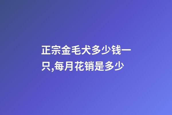 正宗金毛犬多少钱一只,每月花销是多少-第1张-观点-玄机派
