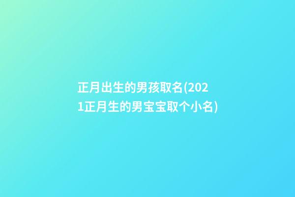 正月出生的男孩取名(2021正月生的男宝宝取个小名)