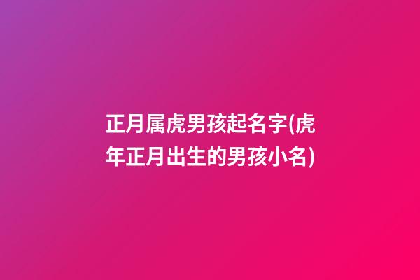 正月属虎男孩起名字(虎年正月出生的男孩小名)