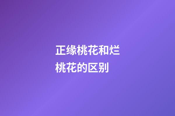 正缘桃花和烂桃花的区别