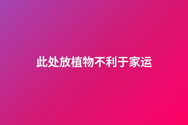 此处放植物不利于家运