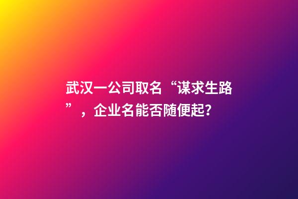 武汉一公司取名“谋求生路”，企业名能否随便起？-第1张-公司起名-玄机派