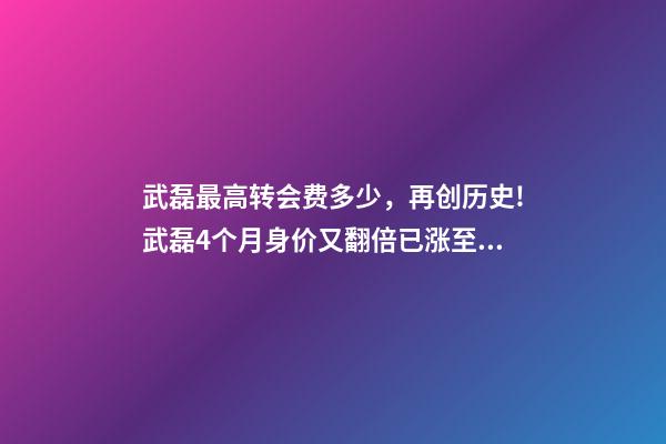 武磊最高转会费多少，再创历史!武磊4个月身价又翻倍已涨至1千万欧-第1张-观点-玄机派