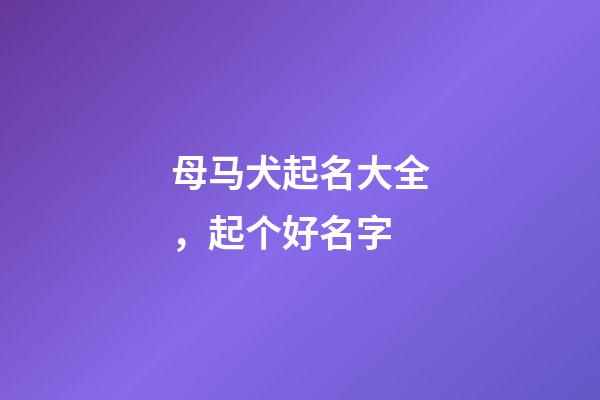母马犬起名大全，起个好名字