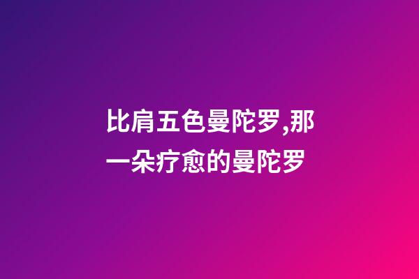 比肩五色曼陀罗,那一朵疗愈的曼陀罗-第1张-观点-玄机派