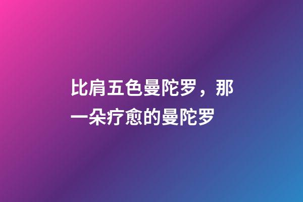 比肩五色曼陀罗，那一朵疗愈的曼陀罗-第1张-观点-玄机派