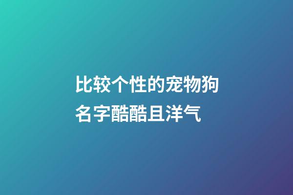 比较个性的宠物狗名字酷酷且洋气