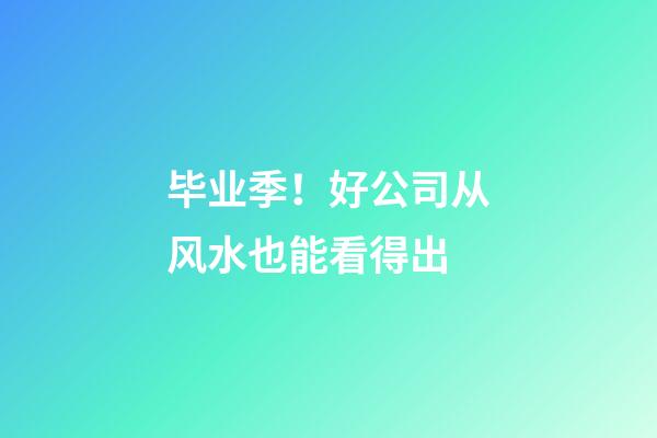 毕业季！好公司从风水也能看得出