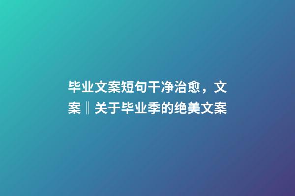 毕业文案短句干净治愈，文案‖关于毕业季的绝美文案-第1张-观点-玄机派
