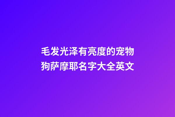 毛发光泽有亮度的宠物狗萨摩耶名字大全英文