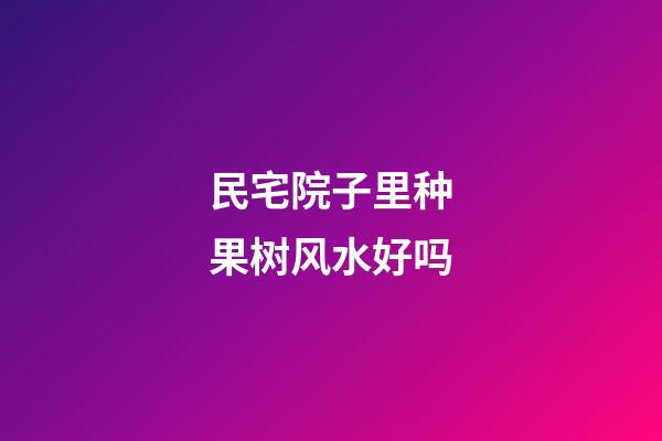 民宅院子里种果树风水好吗