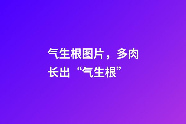 气生根图片，多肉长出“气生根”-第1张-观点-玄机派