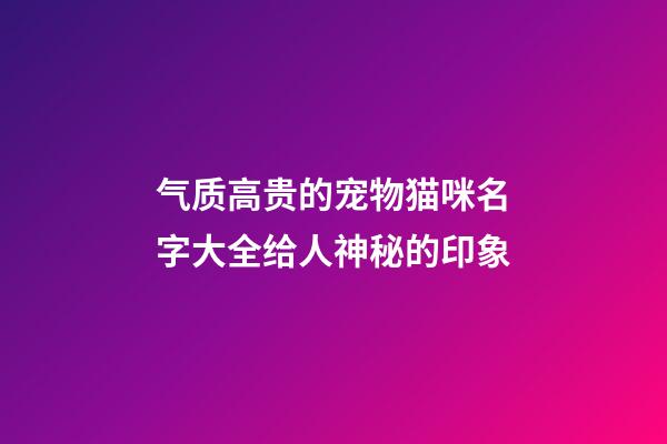 气质高贵的宠物猫咪名字大全给人神秘的印象