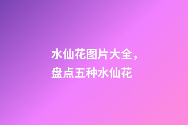 水仙花图片大全，盘点五种水仙花-第1张-观点-玄机派