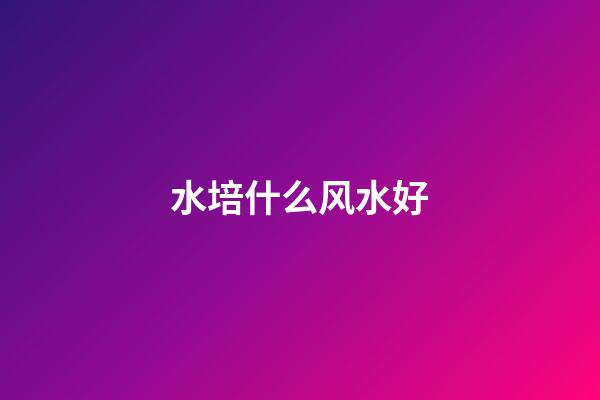水培什么风水好