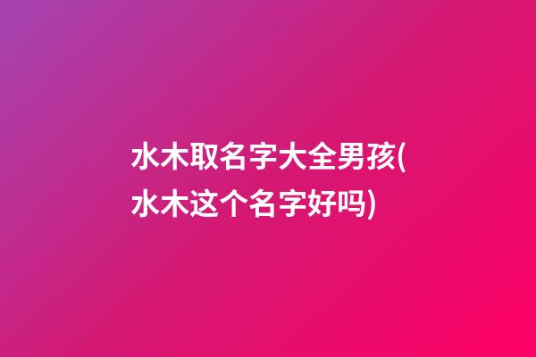 水木取名字大全男孩(水木这个名字好吗)