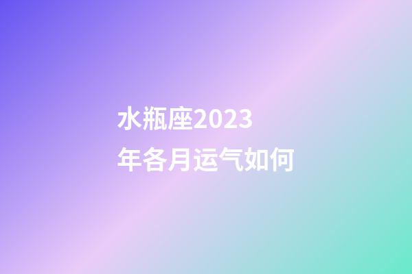 水瓶座2023年各月运气如何-第1张-星座运势-玄机派