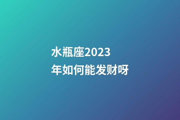 水瓶座2023年如何能发财呀-第1张-星座运势-玄机派
