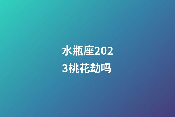 水瓶座2023桃花劫吗-第1张-星座运势-玄机派