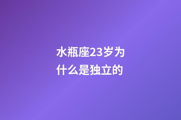 水瓶座23岁为什么是独立的-第1张-星座运势-玄机派