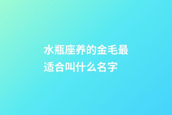 水瓶座养的金毛最适合叫什么名字-第1张-星座运势-玄机派