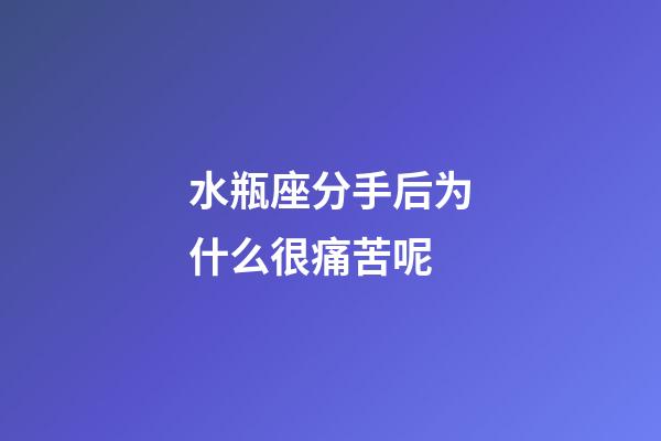 水瓶座分手后为什么很痛苦呢-第1张-星座运势-玄机派