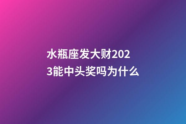 水瓶座发大财2023能中头奖吗为什么-第1张-星座运势-玄机派