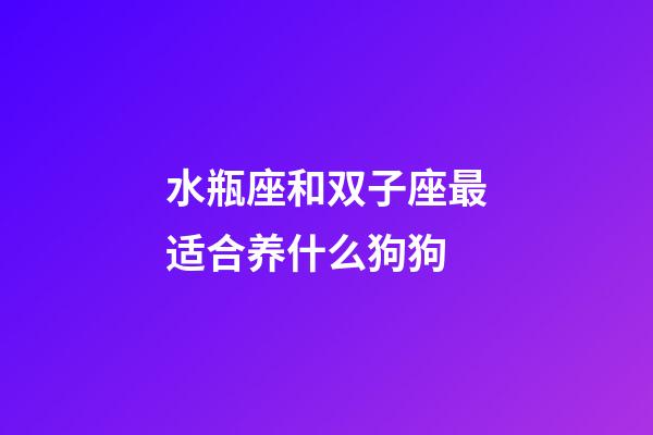 水瓶座和双子座最适合养什么狗狗-第1张-星座运势-玄机派