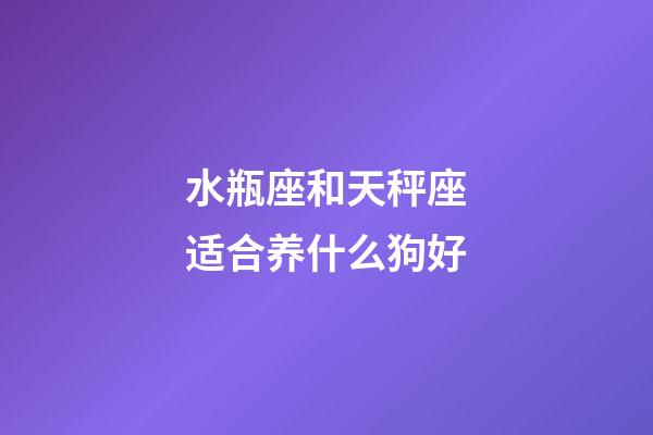 水瓶座和天秤座适合养什么狗好-第1张-星座运势-玄机派