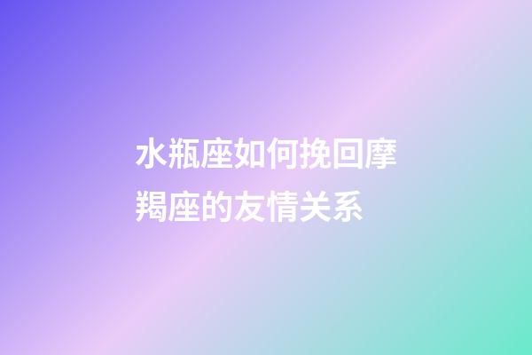 水瓶座如何挽回摩羯座的友情关系-第1张-星座运势-玄机派