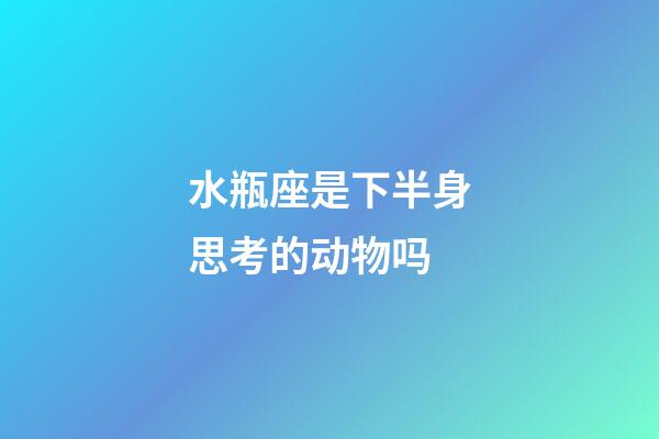 水瓶座是下半身思考的动物吗-第1张-星座运势-玄机派