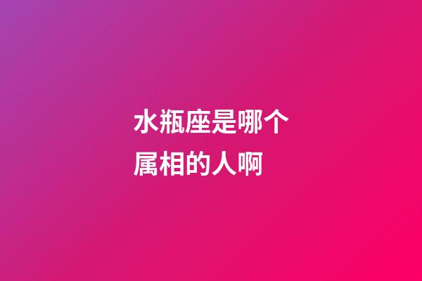 水瓶座是哪个属相的人啊-第1张-星座运势-玄机派